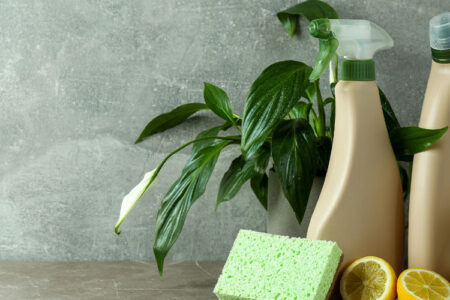 The Benefits of Using Eco-Friendly Cleaning Products